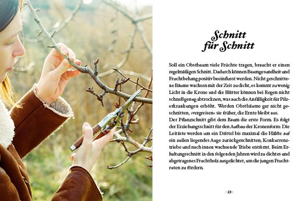 Produktbild: Das große kleine Buch: Obstbäume in unserem Garten