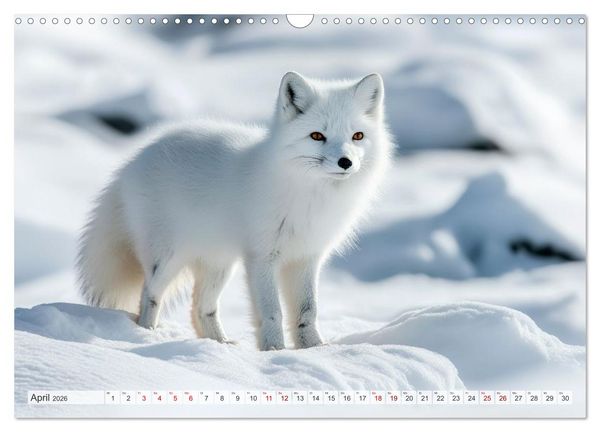 Produktbild: ARKTISCHE TIERE Im Reich der K&auml;lte (Wandkalender 2026 DIN A3 quer), CALVENDO Monatskalender
