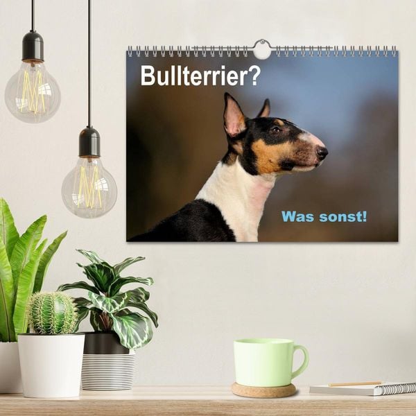 Produktbild: Bullterrier? Was sonst! (Wandkalender 2026 DIN A4 quer), CALVENDO Monatskalender