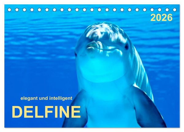 Produktbild: Delfine - elegant und intelligent (Tischkalender 2026 DIN A5 quer), CALVENDO Monatskalender