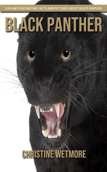 Produktbild: Black Panther - Fun and Fascinating Facts and Pictures About Black Panther