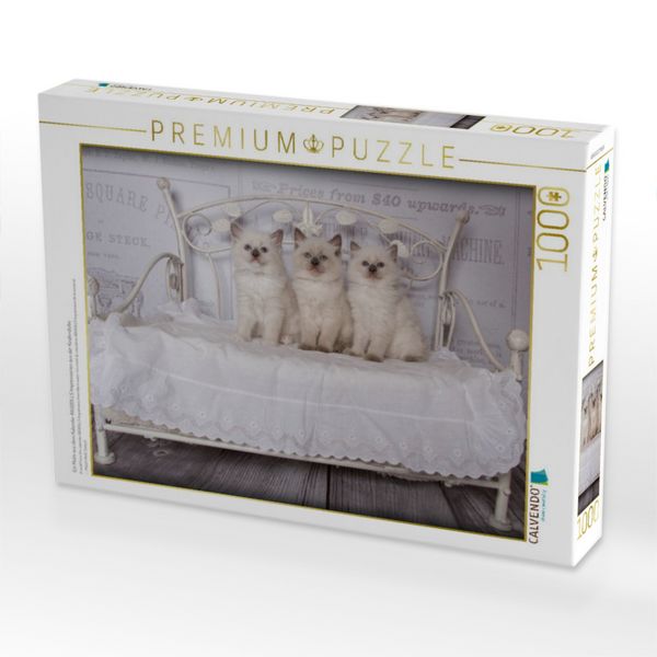 Produktbild: CALVENDO Puzzle Ein Motiv aus dem Kalender RAGDOLLS Impressionen aus der Kinderstube | 1000 Teile Lege-Gr&ouml;&szlig;e 64x48cm Foto-Puzzle f&uuml;r gl&uuml;ckliche Stunden