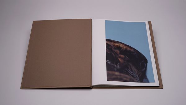 Produktbild: Jo&atilde;o Onofre &ndash; Untitled (in awe of)