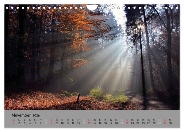 Produktbild: L&uuml;neburger Heide - sch&ouml;n zu jeder Jahreszeit (Wandkalender 2026 DIN A4 quer), CALVENDO Monatskalender