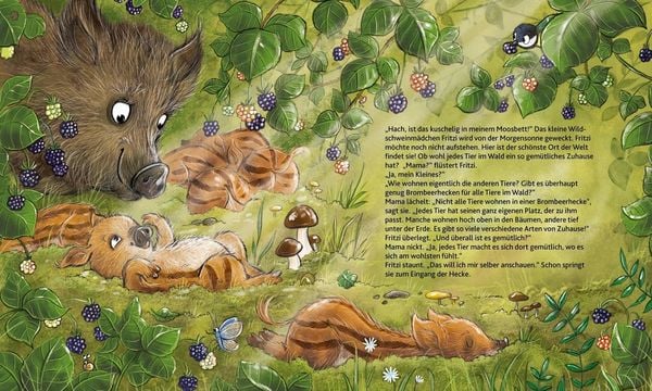 Wie wohnen die Waldtiere?