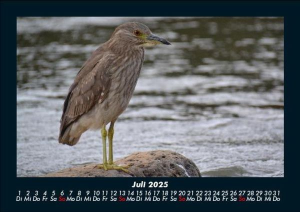 Produktbild: Vogelparadies 2025 Fotokalender DIN A5