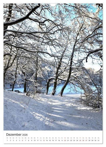 Produktbild: Faszination der Farben im Naturpark Lappwald (Wandkalender 2026 DIN A3 hoch), CALVENDO Monatskalender