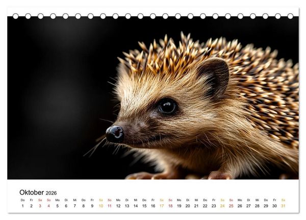 Produktbild: Wilde Heimat - Tiere unserer Natur (Tischkalender 2026 DIN A5 quer), CALVENDO Monatskalender