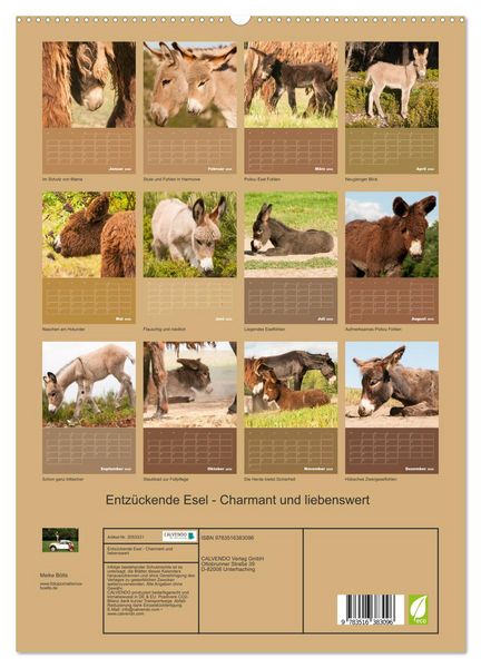 Produktbild: Entz&uuml;ckende Esel - Charmant und liebenswert (hochwertiger Premium Wandkalender 2026 DIN A2 hoch), Kunstdruck in Hochglanz
