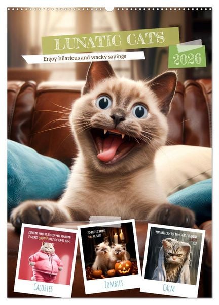 Produktbild: LUNATIC CATS Enjoy hilarious and wacky sayings (Wall Calendar 2026 DIN A2 portrait), CALVENDO 12 Month Wall Calendar