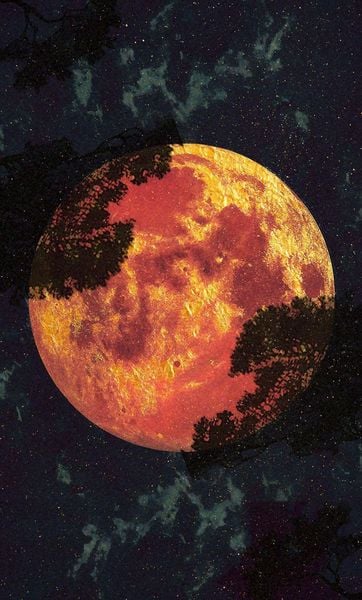Produktbild: Amber Moon Tarot - 78 tarot cards and 80-page booklet (English)