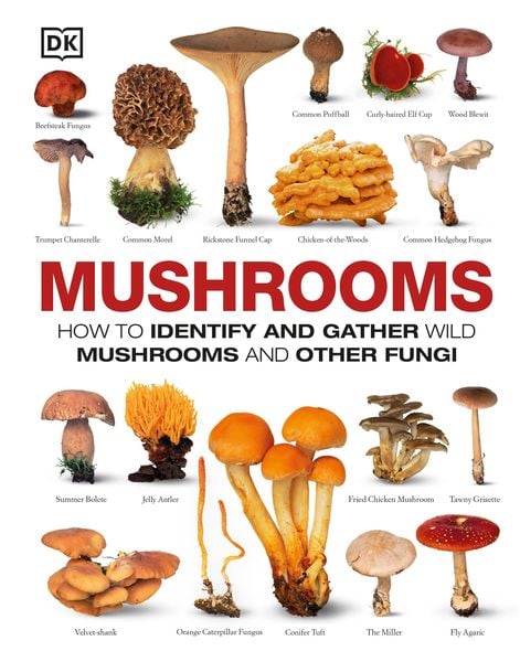 Produktbild: Mushrooms