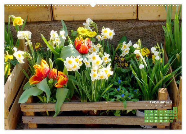 Produktbild: Urlaub im Garten (Wandkalender 2026 DIN A2 quer), CALVENDO Monatskalender