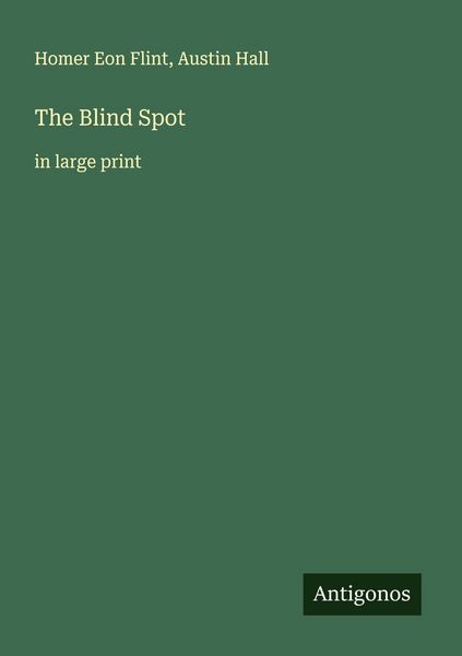 Produktbild: The Blind Spot