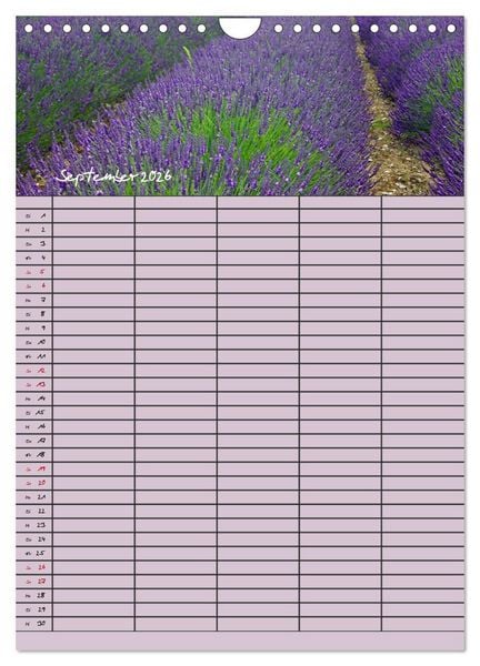 Produktbild: Naturzauber Lavendel - Familienplaner (Wandkalender 2026 DIN A4 hoch), CALVENDO Monatskalender
