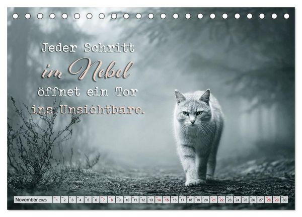Produktbild: Katzenpoesie - Herzber&uuml;hrende Verse (Tischkalender 2026 DIN A5 quer), CALVENDO Monatskalender