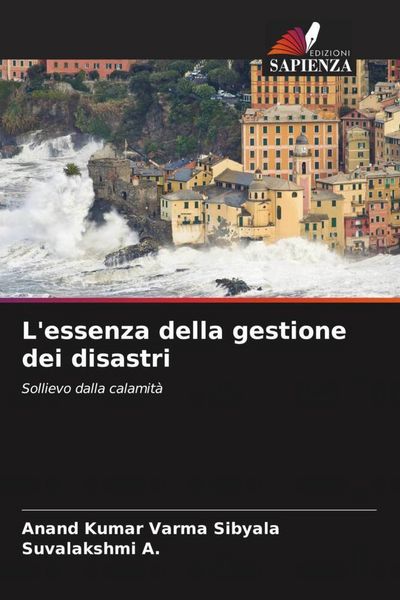 Produktbild: L'essenza della gestione dei disastri