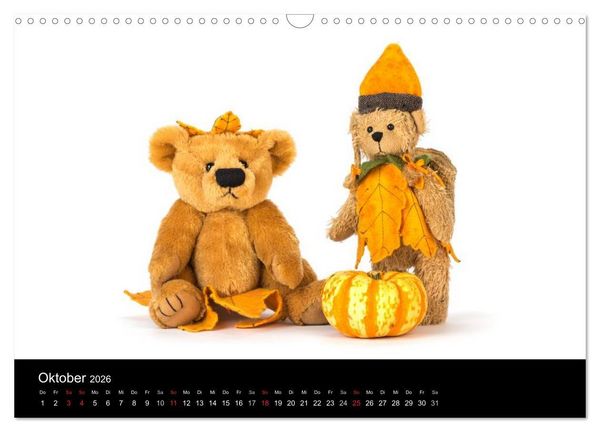 Produktbild: Martin B&auml;ren aus Sonneberg (Wandkalender 2026 DIN A3 quer), CALVENDO Monatskalender