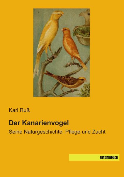 Produktbild: Der Kanarienvogel