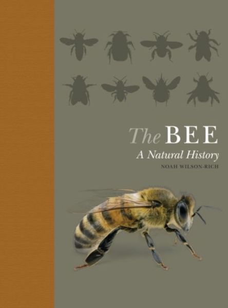 Produktbild: Bee Quigley/e