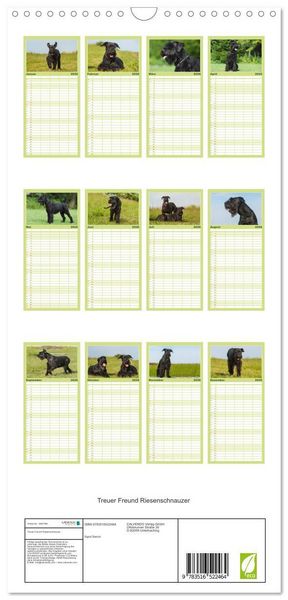 Produktbild: Familienplaner 2026 - Treuer Freund Riesenschnauzer mit 5 Spalten (Wandkalender, 21 x 45 cm) CALVENDO