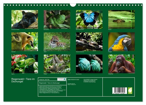 Produktbild: Regenwald &bull; Tiere im Dschungel (Wandkalender 2026 DIN A3 quer), CALVENDO Monatskalender