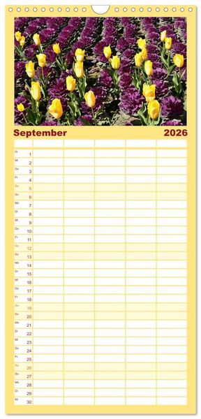 Produktbild: Familienplaner 2026 - Tulpentraum mit 5 Spalten (Wandkalender, 21 x 45 cm) CALVENDO