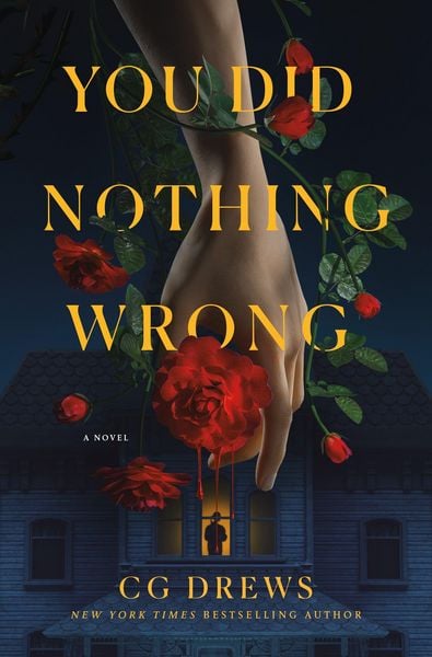 Produktbild: You Did Nothing Wrong