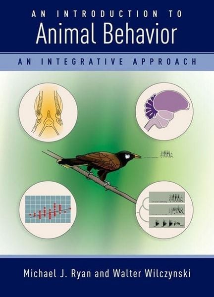 Produktbild: An Introduction to Animal Behavior: An Integrative Approach