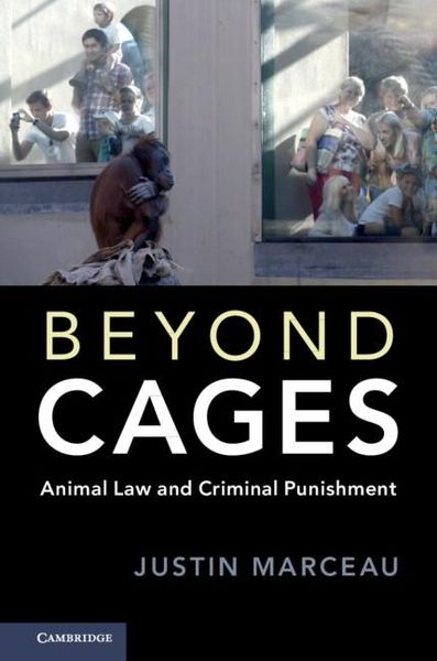 Produktbild: Beyond Cages