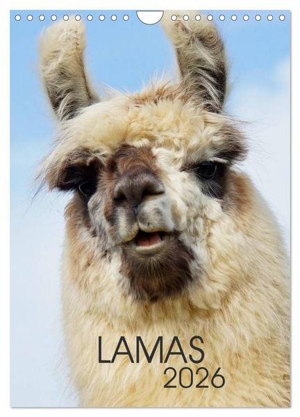 Produktbild: LAMAS (Wandkalender 2026 DIN A4 hoch), CALVENDO Monatskalender