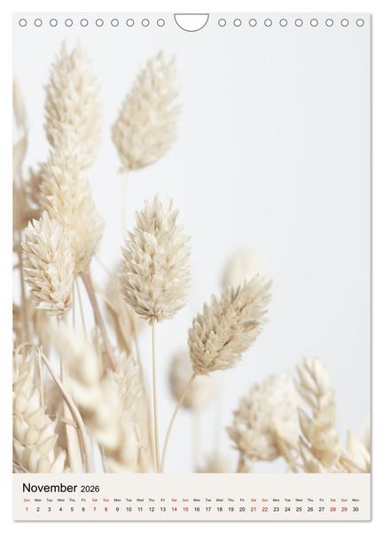 Produktbild: Dried Flowers (Wall Calendar 2026 DIN A4 portrait), CALVENDO 12 Month Wall Calendar