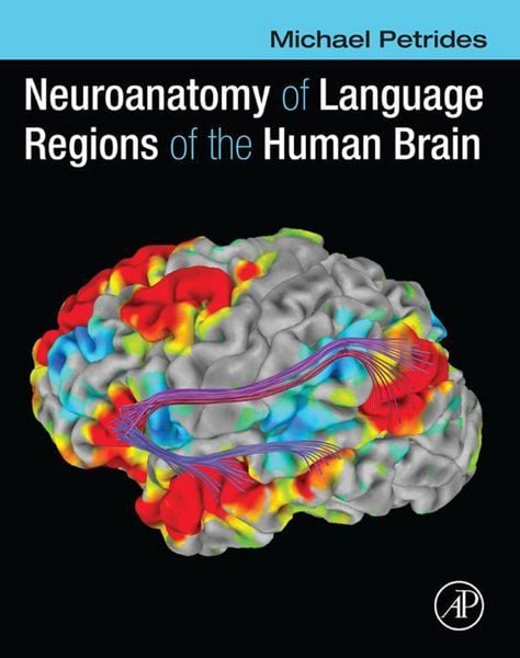Produktbild: Neuroanatomy of Language Regions of the Human Brain