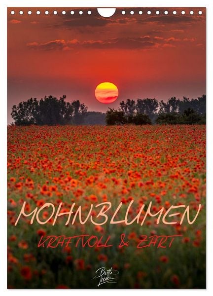 Produktbild: Mohnblumen - kraftvoll und zart (Wandkalender 2026 DIN A4 hoch), CALVENDO Monatskalender
