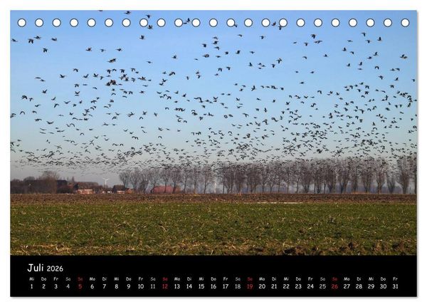 Produktbild: Schrei der Wildg&auml;nse (Tischkalender 2026 DIN A5 quer), CALVENDO Monatskalender