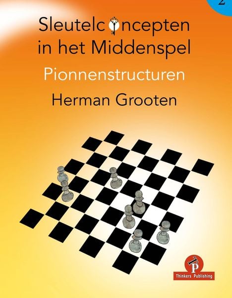 Produktbild: Sleutelconcepten in Het Middenspel Deel 2