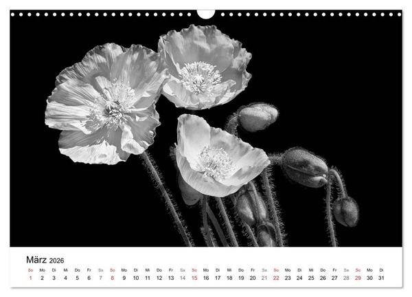 Produktbild: Blumen 2026, Schwarz-Wei&szlig; (Wandkalender 2026 DIN A3 quer), CALVENDO Monatskalender