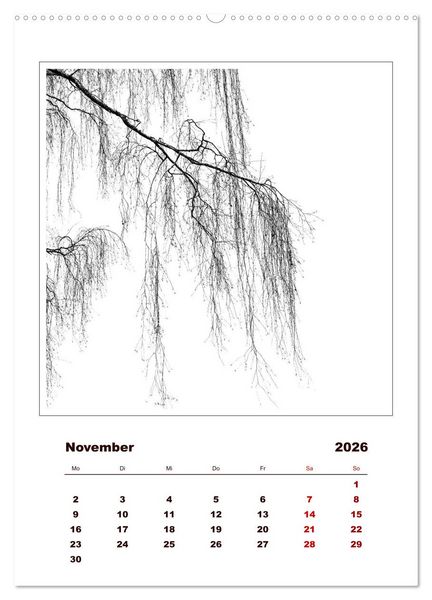 Produktbild: LignoGrafica - Muster und Strukturen der B&auml;ume (Wandkalender 2026 DIN A2 hoch), CALVENDO Monatskalender