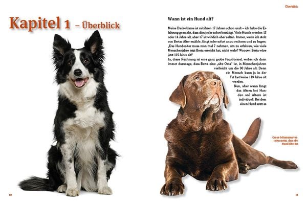Produktbild: Hunde-Rentner