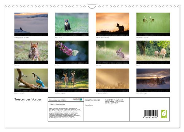 Produktbild: Tr&eacute;sors des Vosges (Calendrier mural 2026 DIN A3 vertical), CALVENDO calendrier mensuel