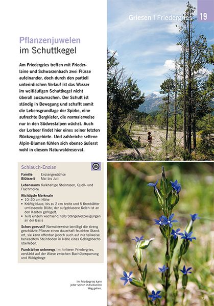 Produktbild: Die sch&ouml;nsten Bl&uuml;ten-Wanderungen in Oberbayern & Tirol, Band 2