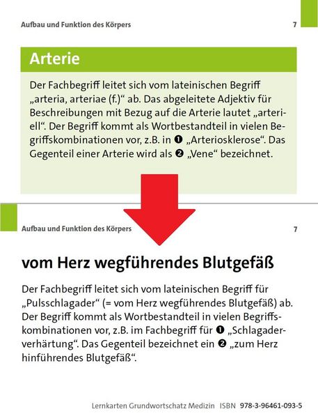 Produktbild: Grundwortschatz Medizin