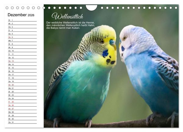 Produktbild: F&uuml;r pfiffige Kids- Haus- und Hoftiere (Wandkalender 2026 DIN A4 quer), CALVENDO Monatskalender