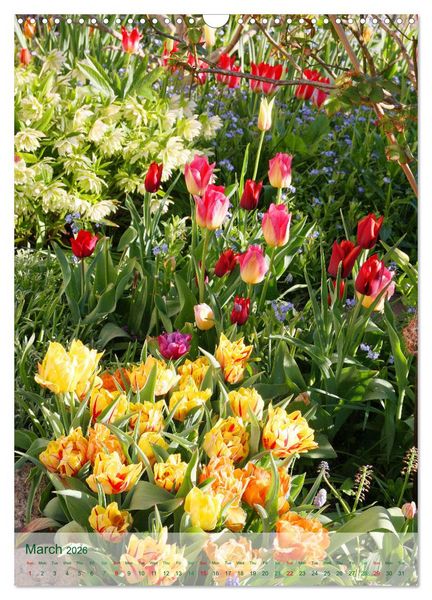 Produktbild: Garden Bliss (Wall Calendar 2026 DIN A3 portrait), CALVENDO 12 Month Wall Calendar