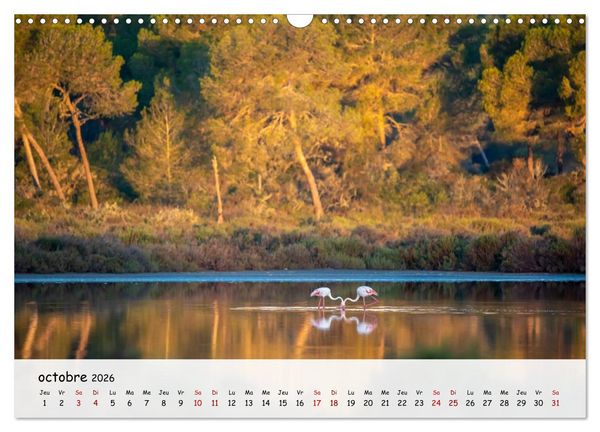 Produktbild: Majorque - Une &icirc;le &agrave; couper le souffle en M&eacute;diterran&eacute;e (Calendrier mural 2026 DIN A3 vertical), CALVENDO calendrier mensuel