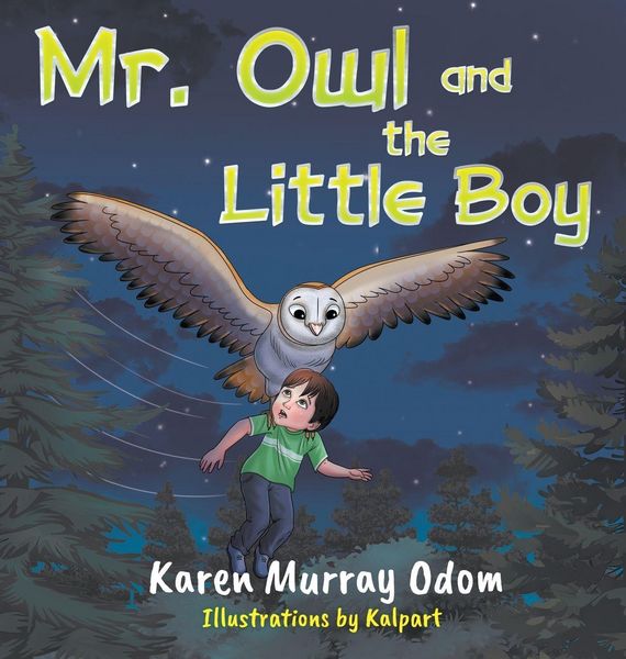 Produktbild: Mr. Owl and the Little Boy