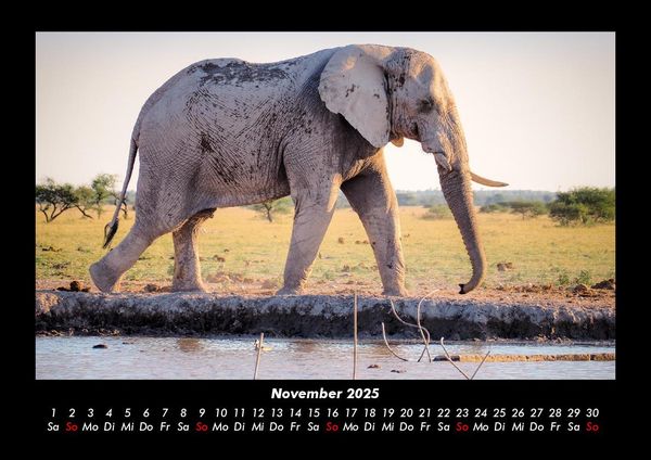 Produktbild: Der Elefantenkalender 2025 Fotokalender DIN A3