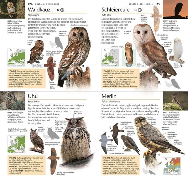 Produktbild: V&ouml;gel