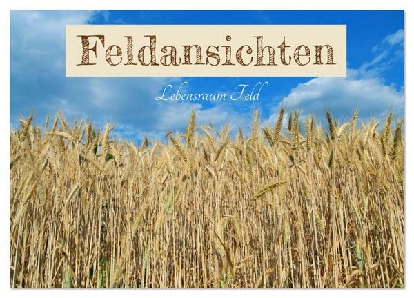 Produktbild: Feldansichten (Wandkalender 2026 DIN A2 quer), CALVENDO Monatskalender