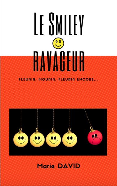 Produktbild: Le Smiley ravageur